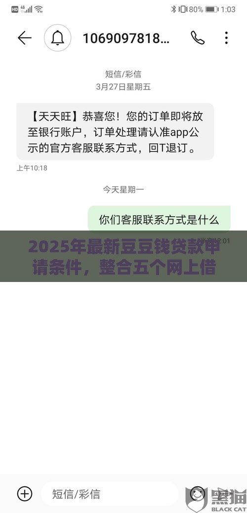 2025年最新豆豆钱贷款申请条件，整合五个网上借钱的平台