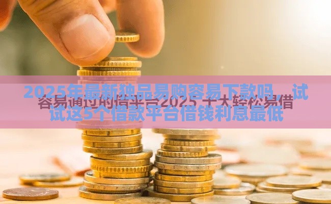 2025年最新独品易购容易下款吗，试试这5个借款平台借钱利息最低