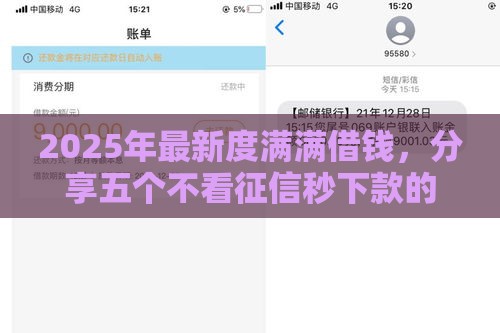 2025年最新度满满借钱，分享五个不看征信秒下款的平台