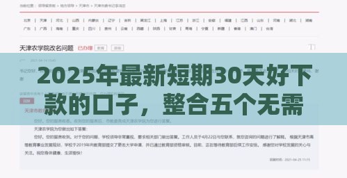 2025年最新短期30天好下款的口子，整合五个无需个人征信的借款平台