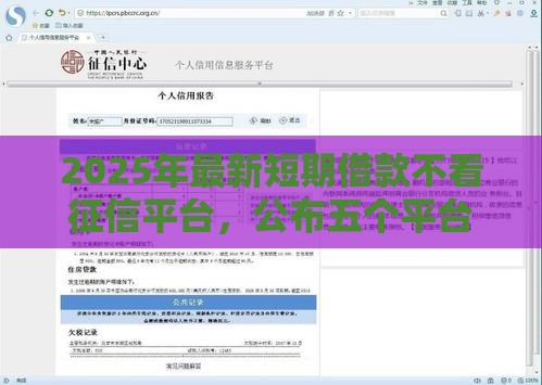 2025年最新短期借款不看征信平台，公布五个平台借钱还不起怎么办